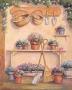 Potting Sheds Iv by Debra Lake Limited Edition Pricing Art Print