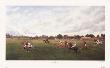 Game Of Polo At Rugby by Lucas Limited Edition Print