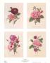Bouquets by Pierre-Joseph Redoute Limited Edition Print