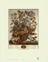Twelve Months Of Flowers, 1730, May by Robert Furber Limited Edition Print