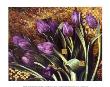 Regal Tulips by Fangyu Meng Limited Edition Print
