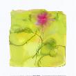 Freshness Of Spring Ii by Lucile Prache Limited Edition Print