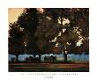 Under The Cottonwoods by Doug Dawson Limited Edition Print