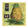 Pineapple I by Walter Robertson Limited Edition Pricing Art Print