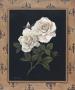 Rose Fleur De Lis by T. C. Chiu Limited Edition Print