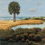 Low Country Beach I by Cheryl Kessler-Romano Limited Edition Print