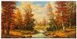 Herbstgold by F. Feuer Limited Edition Print