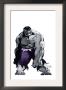 Hulk Gray #1 Cover: Hulk by Tim Sale Limited Edition Pricing Art Print