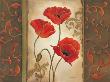 Poppy Ii by Kim Lewis Limited Edition Print