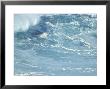 Breaking Waves, North Shore, Maui, Hi by Eric Sanford Limited Edition Print