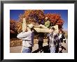 College Students Moving Couch With Student On It by Stewart Cohen Limited Edition Print