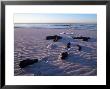 Businessman In The Water With Clothing On The Sand by Henryk T. Kaiser Limited Edition Print