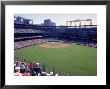 Spectators At Baseball Game by William Swartz Limited Edition Pricing Art Print