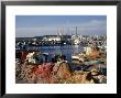 Harbor At Canakkale, Turkey by Michele Burgess Limited Edition Print