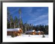 Rainbow Cabins At Yellowstone Club, Montana by Yvette Cardozo Limited Edition Print