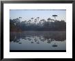 Fog During Sunrise, Dune Allen Beach by Jeff Greenberg Limited Edition Print