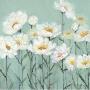 White Poppies Ii by Olivia Long Limited Edition Print