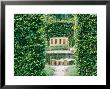 Bench Beside Formal Pond Carpinus Hedges, Path by Mark Bolton Limited Edition Print