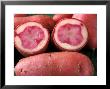 Potato Solanum Tuberosum (Highland Burgundy Red), Cut Potato by Chris Burrows Limited Edition Print