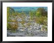 Limestone Pavement Near Kendal In Lake District, England by David Boag Limited Edition Print
