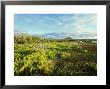 Coast Of Santiago, Santiago, Galapagos by Werner Bollmann Limited Edition Pricing Art Print