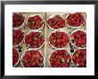 Punnets Of Strawberries In Crate, Vaucluse, France by Alain Christof Limited Edition Print