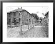 View Between Fencing To Prisoner Block, Auschwitz, Poland by David Clapp Limited Edition Print