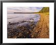 Morning Light On The Shore Of Green Bay At Europe Bay County Park, Wisconsin, Usa by Willard Clay Limited Edition Print