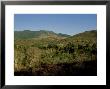 Spiny Desert, Madagascar by Patricio Robles Gil Limited Edition Print