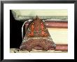 Herald Moth On Stack Of Books, Devon by William Gray Limited Edition Print