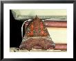 Herald Moth On Stack Of Books, Devon by William Gray Limited Edition Pricing Art Print