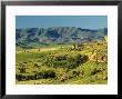 Rural Scene, Free State, South Africa by Roger De La Harpe Limited Edition Print