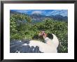 King Vulture, Sunbathing, Cerro Chaparri, Peru by Mark Jones Limited Edition Pricing Art Print