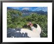 King Vulture, Sunbathing, Cerro Chaparri, Peru by Mark Jones Limited Edition Print