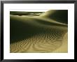 Sahara Desert, Rippling Effect Of Wind, Algeria by Richard Packwood Limited Edition Print