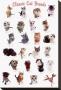 Cat Breeds by Yoneo Morita Limited Edition Pricing Art Print