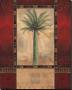 Tropical Palms Iv by Louise Montillio Limited Edition Print