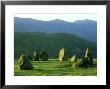 Castlerigg Stone Circle, England by Iain Sarjeant Limited Edition Print