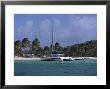Daytrip Catamaran, Tobago Cays, Grenadines by Reid Neubert Limited Edition Print