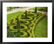 Dublin, Ireland - Garden by Keith Levit Limited Edition Pricing Art Print