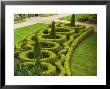 Dublin, Ireland - Garden by Keith Levit Limited Edition Print