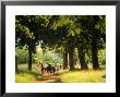 Zulu Students Walking To School, Near Eshowe, South Africa by Roger De La Harpe Limited Edition Print