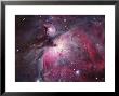 A Close Up Of The Orion Nebula by Stocktrek Images Limited Edition Print