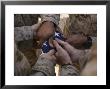 Marines Fold An American Flag After It Was Raised In Memory Of A Fallen Soldier by Stocktrek Images Limited Edition Print