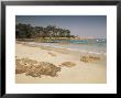 Beach Near Propriano, Corsica, France, Mediterranean by Michael Busselle Limited Edition Print