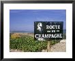 Route Du Champagne Sign, Near Epernay, Marne, Champagne Ardenne, France by Michael Busselle Limited Edition Print