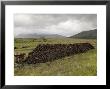Cut Peat Stacked Up For Winter, Connemara, County Galway, Connacht, Republic Of Ireland by Gary Cook Limited Edition Print