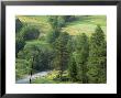 Lane Near The Polish Border, Near Zdiar, High Tatras, Slovakia by Upperhall Limited Edition Print