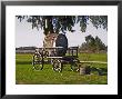Horse Drawn Carriage Cart And Wooden Barrel, Bodega Juanico Familia Deicas Winery, Juanico by Per Karlsson Limited Edition Print