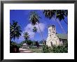 St. Mary's Church And Palm Trees, Seychelles by Nik Wheeler Limited Edition Print